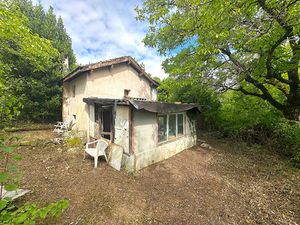 Cellier sur 1 hectare de terrain