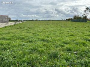 Terrain constructible