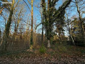 Terrain 3 790 m² Noisy Sur Ecole