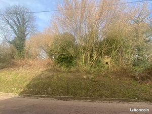 Terrain 2 674 m² Le Plessis Dorin