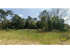 Terrain 658 m² SAINT HILAIRE DE RIEZ