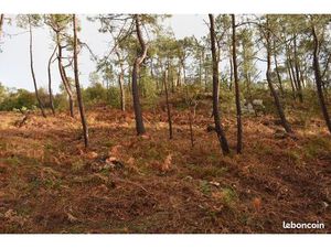 Crozon Morgat Bois du Kador Terrains constructibles