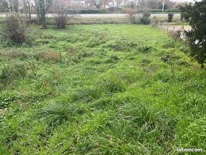 Terrain constructible de 910 m2 viabiliser