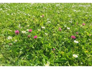 Terrain 308 m² Guerande