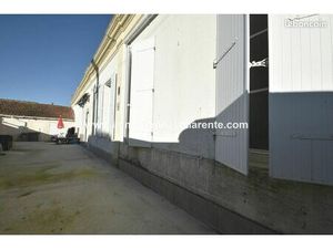 Maison 11 pièces 315 m²