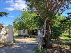 Terrain 3333 m2 avec bâtisse de 30m2 habitable et cadastré dit Mazet? ( à rénover ).très p