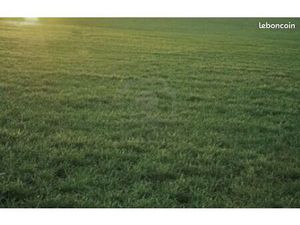 Terrain 550 m² La Tranche Sur Mer