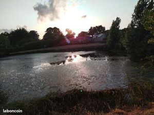 Terrain non constructible acec étang