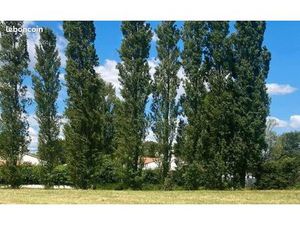 Terrain 499 m² Commequiers