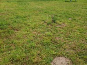 Terrain avec chalet mobil-home