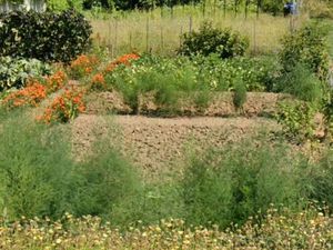 Terrain 320 m² Raizeux