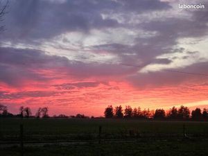 Recherche logement pour projet professionnel