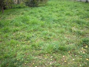 Rare terrain constructible à Saint Médard en Forez