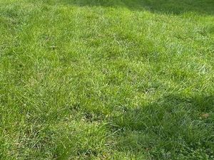 Terrain a construire