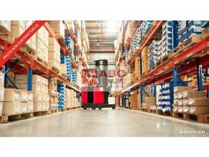 Local d'activité 1 175 m²