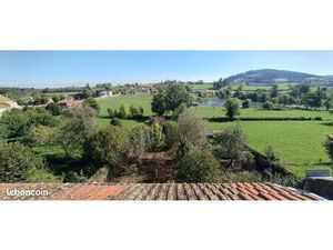 Immeuble de 360m2 au centre de st Martin d'Estréaux (42)