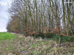 Terrain 3920 m² WISMES