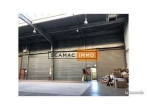 Local industriel 774 m²