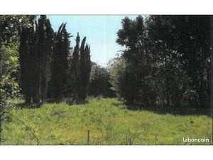 Terrain 1 600 m² Vaux Sur Mer