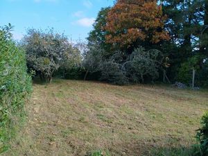 Grand terrain Meriadec