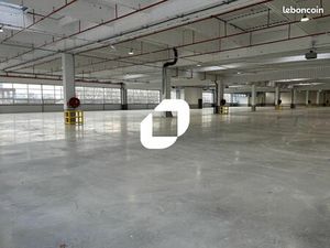 Local logistique 8 241 m²
