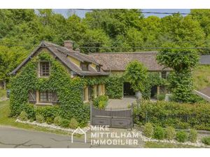 MIKE MITTELHAM IMMOBILIER