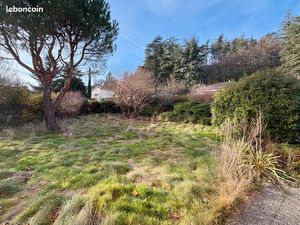 Terrain 600m2 plat et arboré  secteur idéal