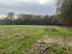 Terrain constructible viabilisé à vendre