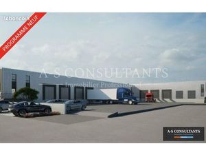 Local d'activité 555 m²