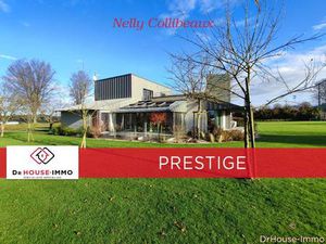 Nelly Collibeaux DR House Immo