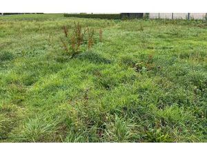 Vente Terrain à Trégastel (22730) : à vendre / 1300m² Trégastel