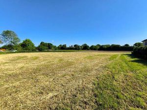 Terrain constructible viabilisé à vendre