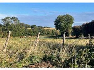 Terrain constructible viabilisé à vendre