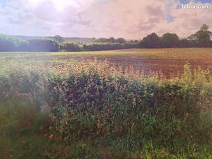 Terrain 1000 m² Crémarest