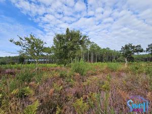 Terrain constructible viabilisé à vendre