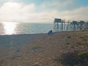 Urgent cherche logement T2 pour janvier