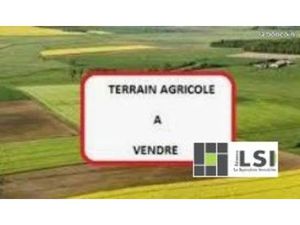 Terrain 16910 m² Laussonne