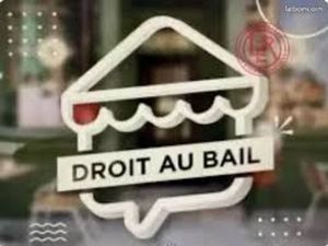 Droit au bail – local commercial – cours richard vitton