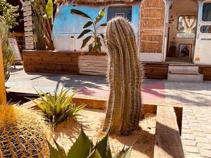 Location saisonnière airstream marché du lez