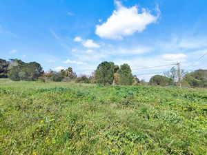 Terrain constructible de 2650 m2 à PERPIGNAN  Soleil Roy