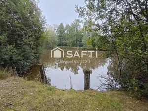 SAFTI TACQUET Catherine conseiller indépendant