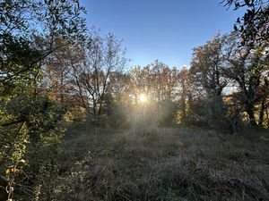 EXCLUSIVITE - Terrain agricole - 1 810m2 - Bargemon - Les Sé