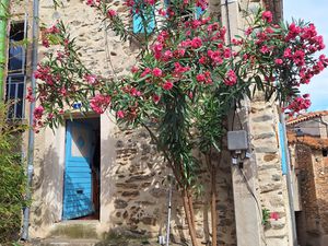 BOULETERNERE - MAISON DE VILLAGE D'ANGLE + GRANGE + 1 HA DE