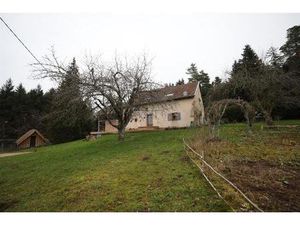 Achat : Maison (88600)