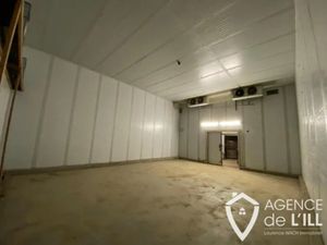 BALGAU - Local de stockage froid