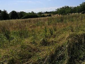 Terrain 1 300 m² Negrondes