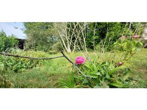 Terrain 0 pièces 951 m² à vendre / acheter villandraut 33730 ? | ERA Immobilier