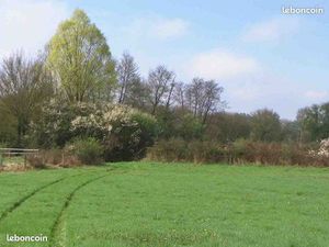 Recherche terrain agricole