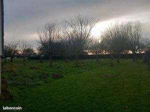 Terrain Constructible