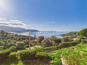 Appartement T1 Casaglione à vendre